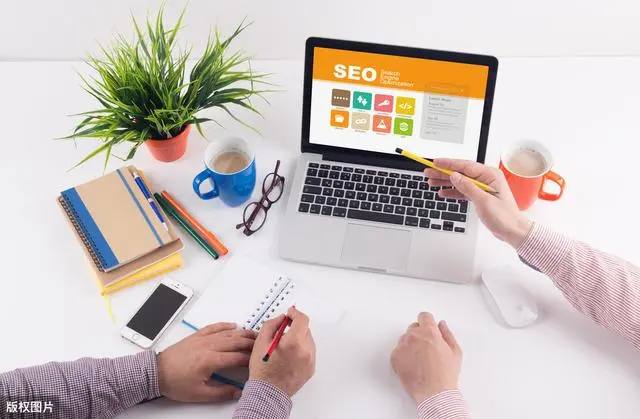 桃黑黑植物大战僵尸